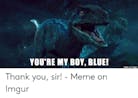 Blue you're my boy thank you sir