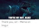 Blue you're my boy thank you sir