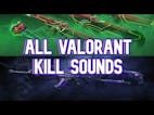 Reaver 5K but not 8D audio