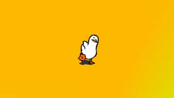 Viral DUCK is coming with colorful background!