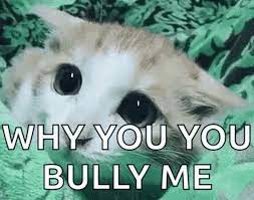 why you bully me Meme Sound Effect - Voicy