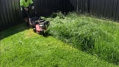 Mowing Grass