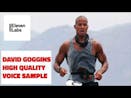 David Goggins Voice 1