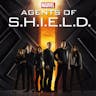 Shield - You Ready To Change The World