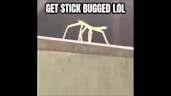 GET STICK BUGGED LOL