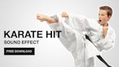 Karate hit