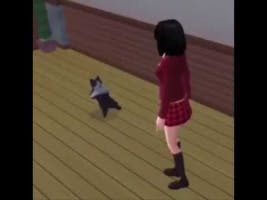 cat break dancing 
