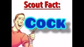 Scout Fact: Caeck (#2)