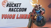 Marvel Rivals: Rocket Raccoon Voice Lines