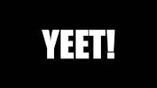 YEET! Sound effect (***SEE DESCRIPTION FOR USE***)