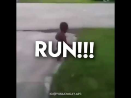 Run! Meme!