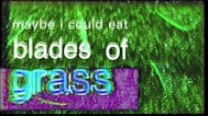 Maybe I could eat blades of grass