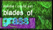 Maybe I could eat blades of grass