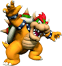 MY SHELL HAS DEEMED THAT YOU GET MY BOWSER STE