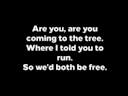 are you are you coming to the tree