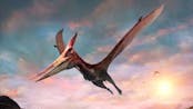 Pterodactyl Dinosaur Fly