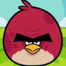 Angry Birds meme