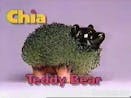 Original  Chia Pet Commercal