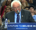 This little bird - Bernie sanders 