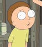 Morty Smith: Stupid