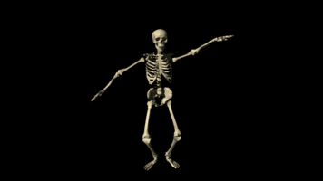 This is a skeleton talking Chilean meme Meme Sound Effect - Voicy
