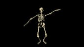 This is a skeleton talking Chilean meme