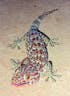Gecko Mating Call