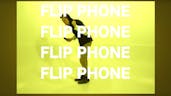 flipphone