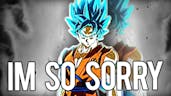 Dragon Ball Z - Sorry