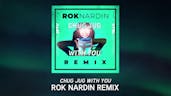Chug Jug With You - Rok Nardin Remix