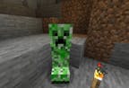 Creeper, but with a epic meme (won't tell)