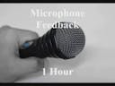 Microphone Feedback