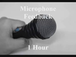Microphone Feedback