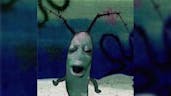 plankton song meme