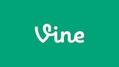 vineboom