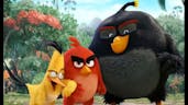 Angry birds theme song (High tone)