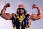 Randy Savage - What ask?