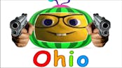 funny ohio meme