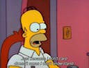 Homer Simpson: Didn’t mean