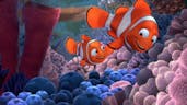 He Touched the Butt!  - Finding Nemo