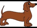 wiener dog