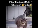 Pika Bubu Shido Halloween