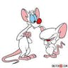 Where do you stick the feather? - Pinky And The Brain