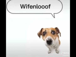 wenomechainsama Meme Sound Effect - Voicy