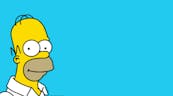 Homer Simpson: Say when