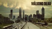 Walking Dead Soundtrack