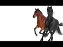 Lil Nas X- Old town road (gay version)