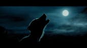 Werewolf sound (short)