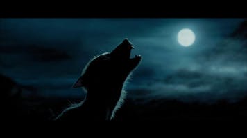 Werewolf sound (short)