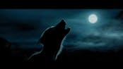 Werewolf sound (short)